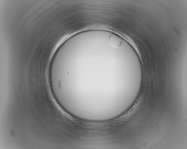 X0000115680997200911120943