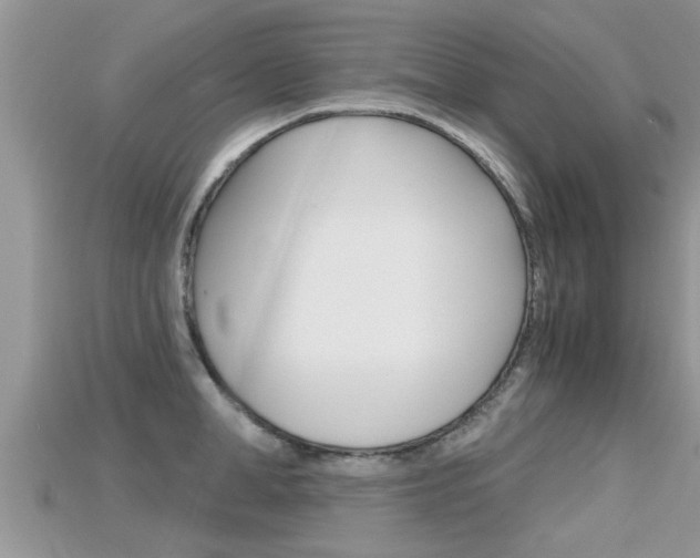 X0000115680998200911120943
