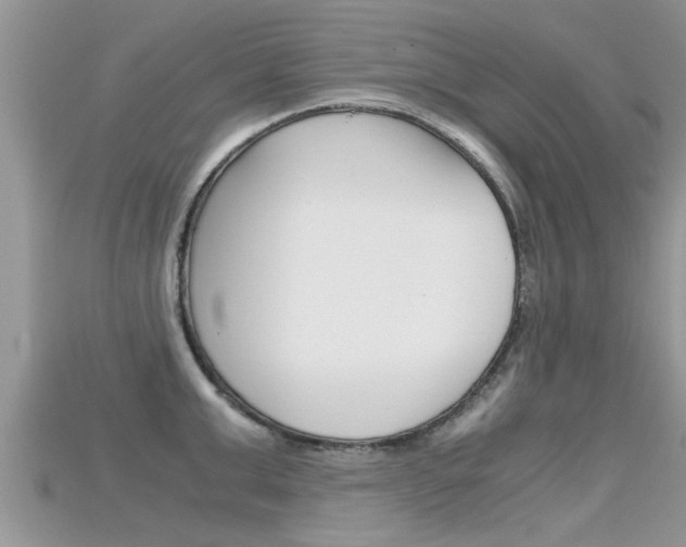 X0000115680999200911120943