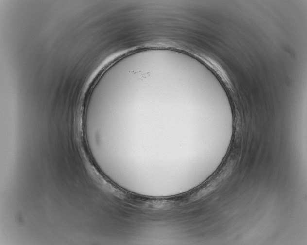X0000115681000200911120943