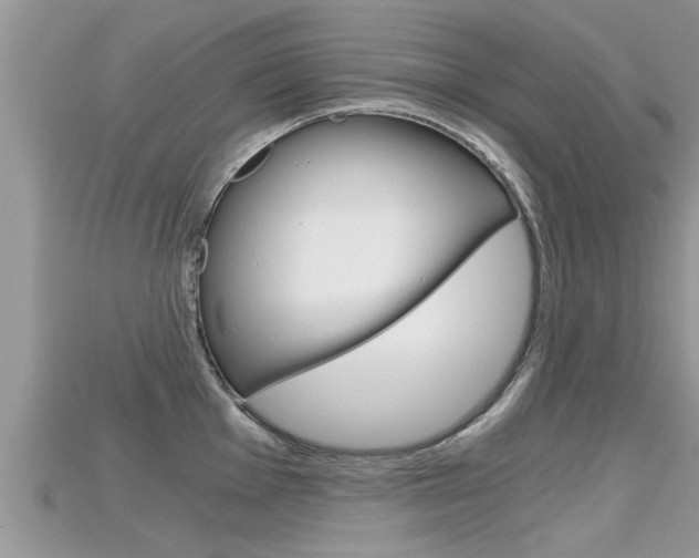 X0000115681001200911120943