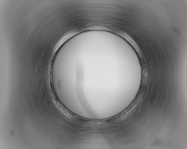 X0000115681002200911120943