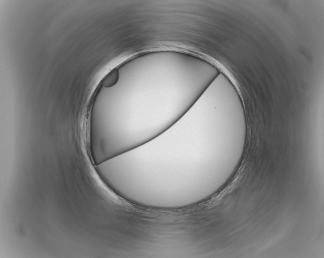 X0000115681003200911120943