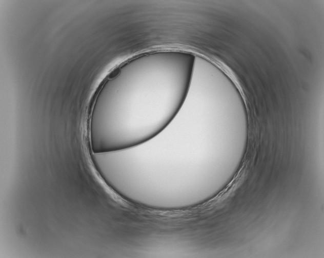 X0000115681005200911120943
