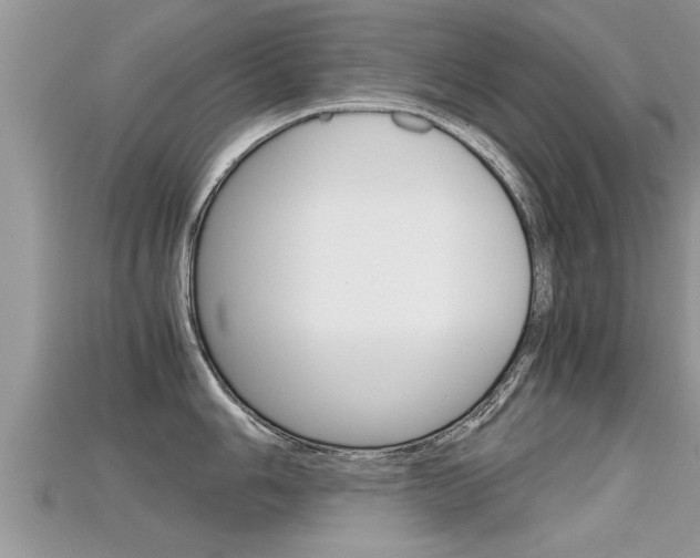 X0000115681006200911120943