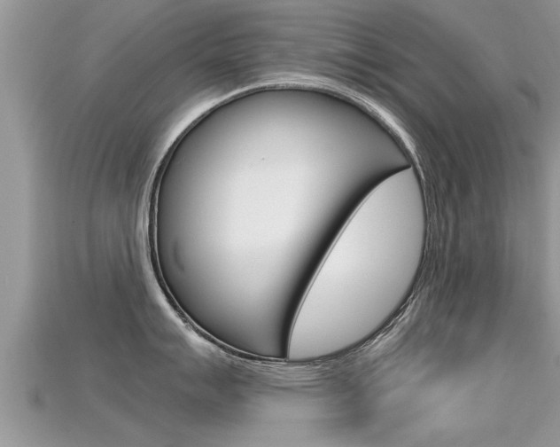 X0000115681007200911120943