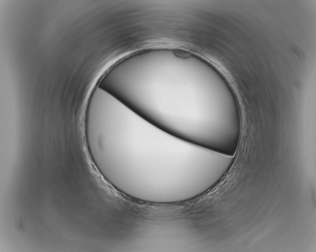 X0000115681008200911120943