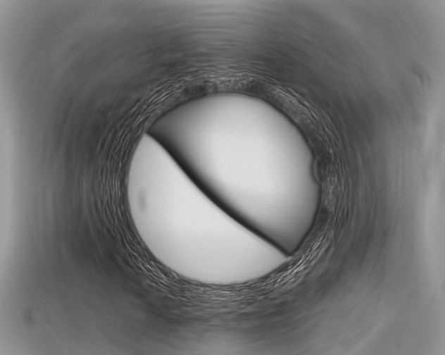 X0000115681010200911120942