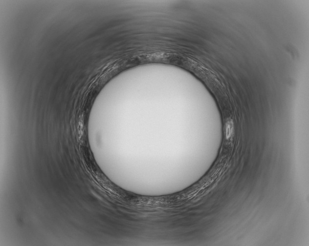 X0000115681011200911120942