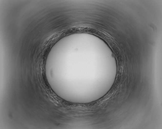 X0000115681014200911120942