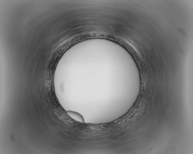 X0000115681015200911120943