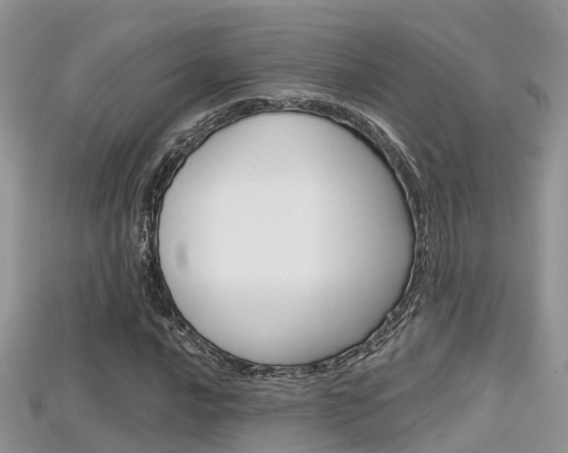 X0000115681016200911120943