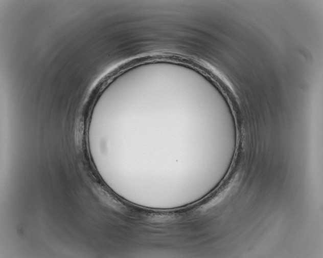 X0000115681021200911120943