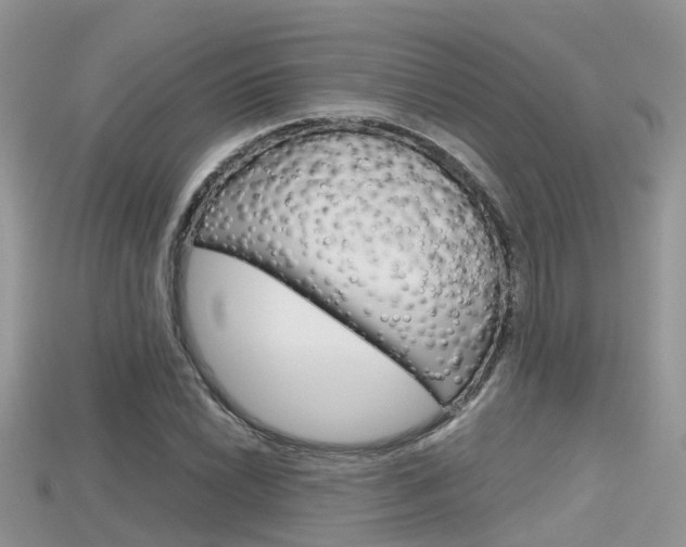X0000115681022200911120943