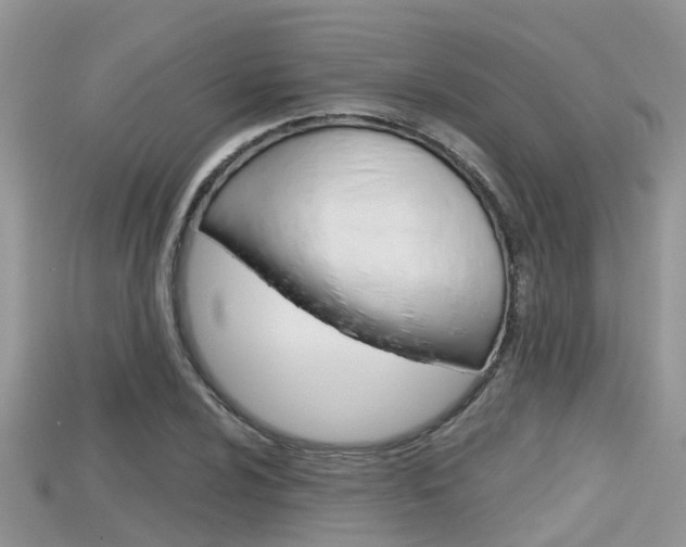 X0000115681024200911120943
