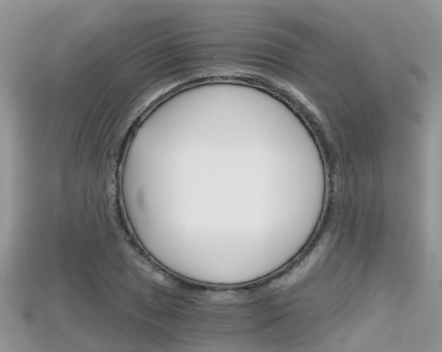 X0000115681025200911120943