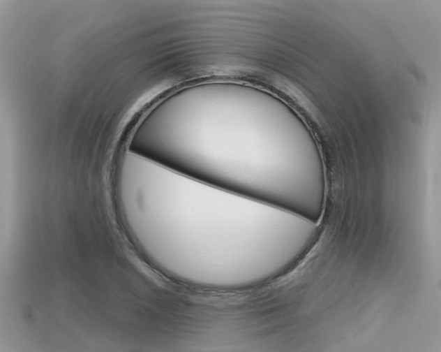 X0000115681026200911120943