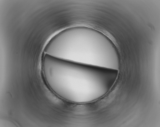 X0000115681028200911120943