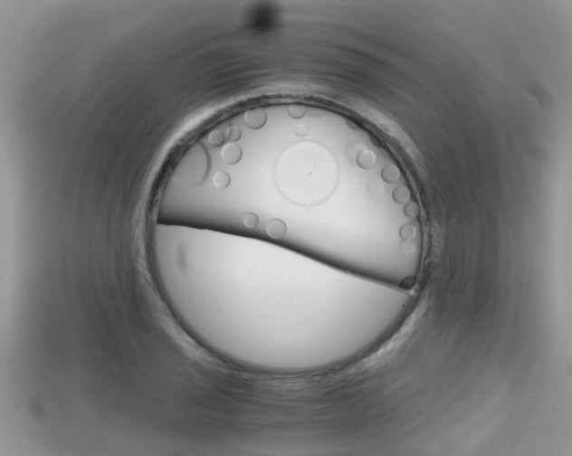 X0000115681029200911120943