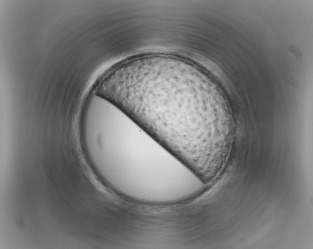 X0000115681030200911120943