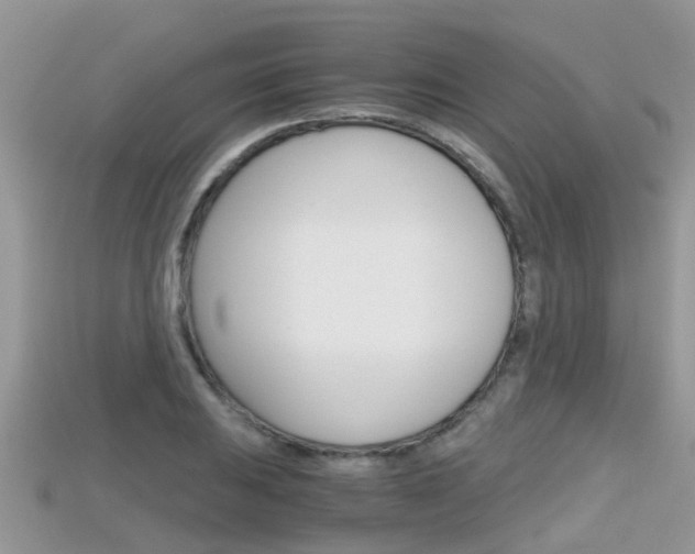 X0000115681031200911120943
