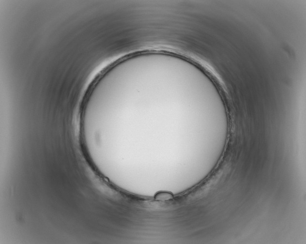 X0000115681032200911120943