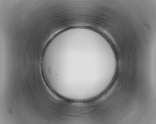 X0000115681033200911120943
