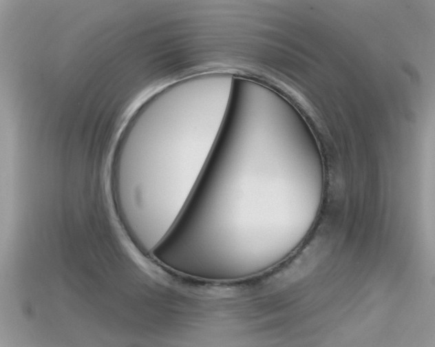 X0000115681034200911120943