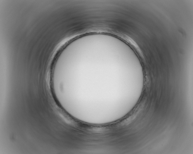 X0000115681035200911120943