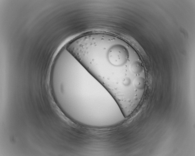 X0000115681036200911120943