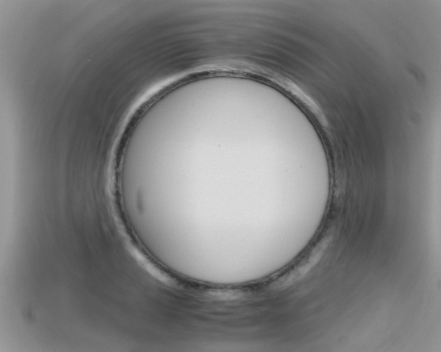 X0000115681037200911120943