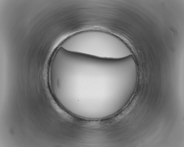 X0000115681038200911120943
