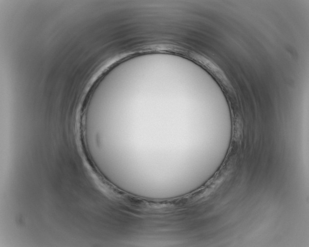 X0000115681039200911120943