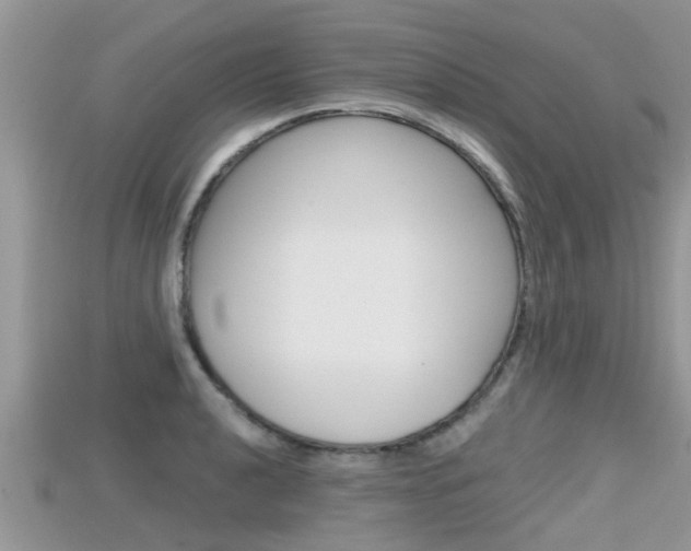 X0000115681040200911120943