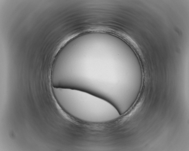 X0000115681041200911120943