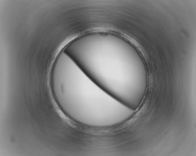X0000115681042200911120943