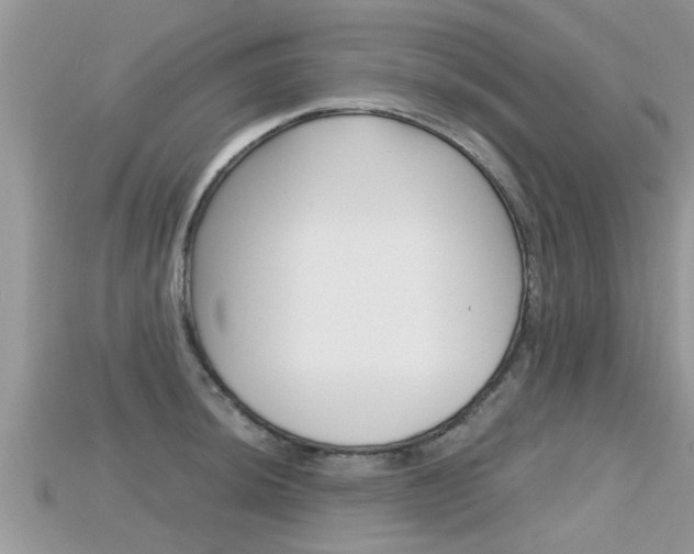 X0000115681044200911120943