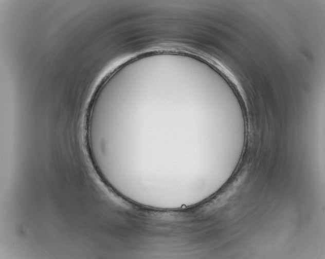 X0000115681045200911120943