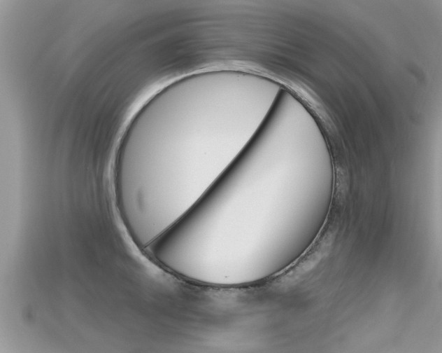 X0000115681046200911120943