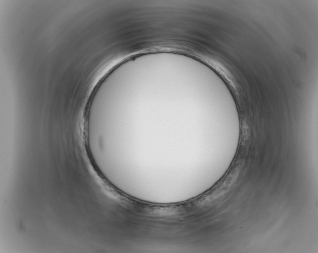 X0000115681047200911120943