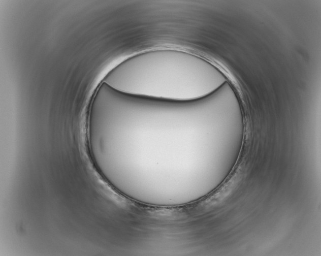 X0000115681048200911120943