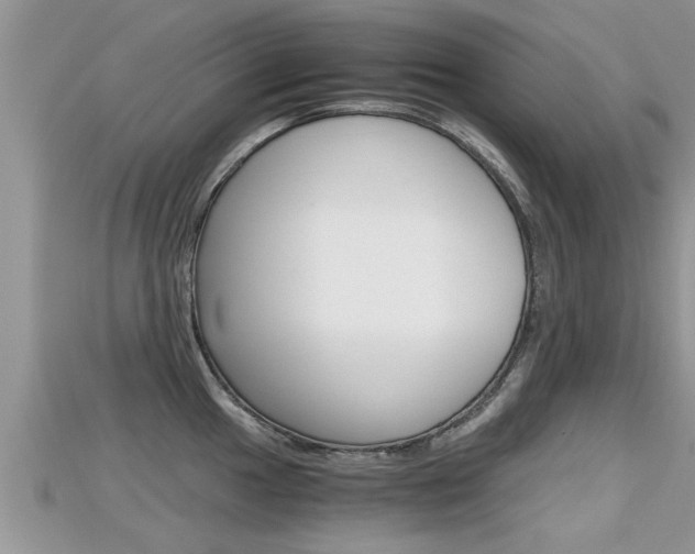 X0000115681049200911120943