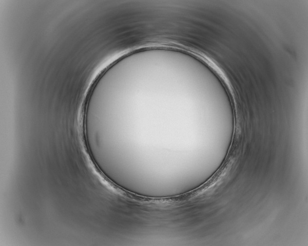 X0000115681053200911120943