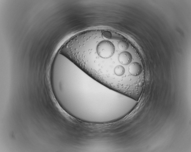 X0000115681054200911120943