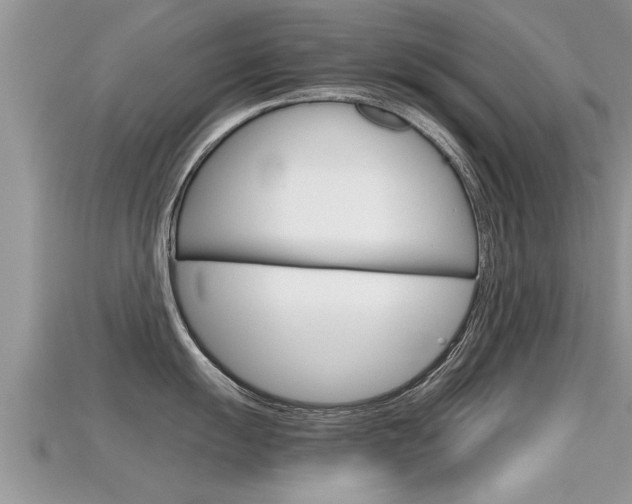 X0000115681055200911120943