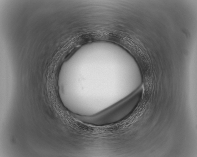 X0000115681057200911120942