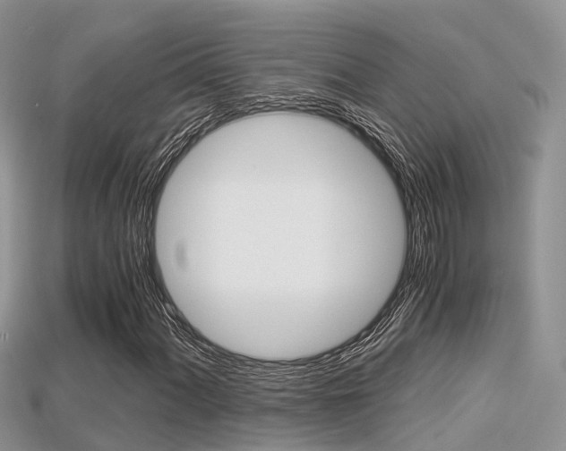 X0000115681060200911120942