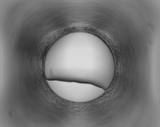 X0000115681062200911120942