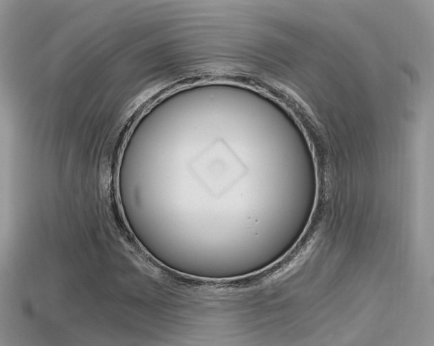 X0000115681065200911120942