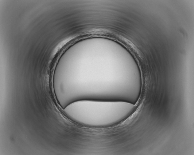 X0000115681066200911120942